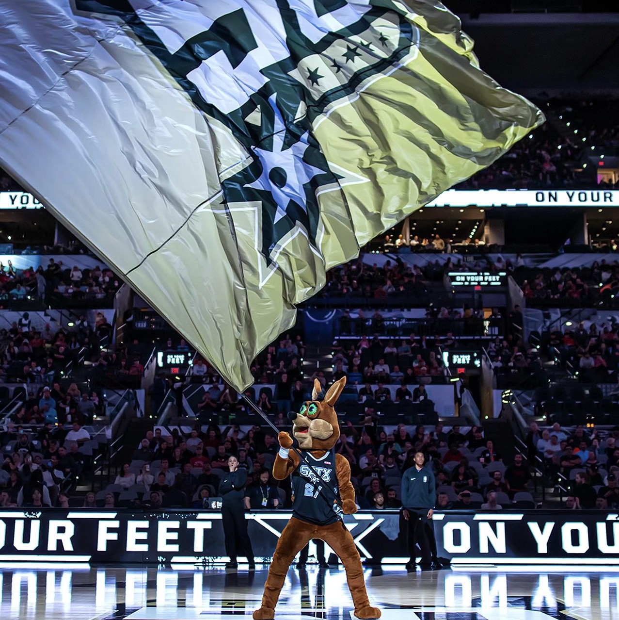 球队获胜的 球队获胜的